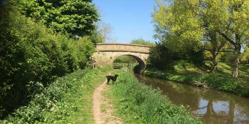 Walking along The Macclesfield Canal | Local Area
